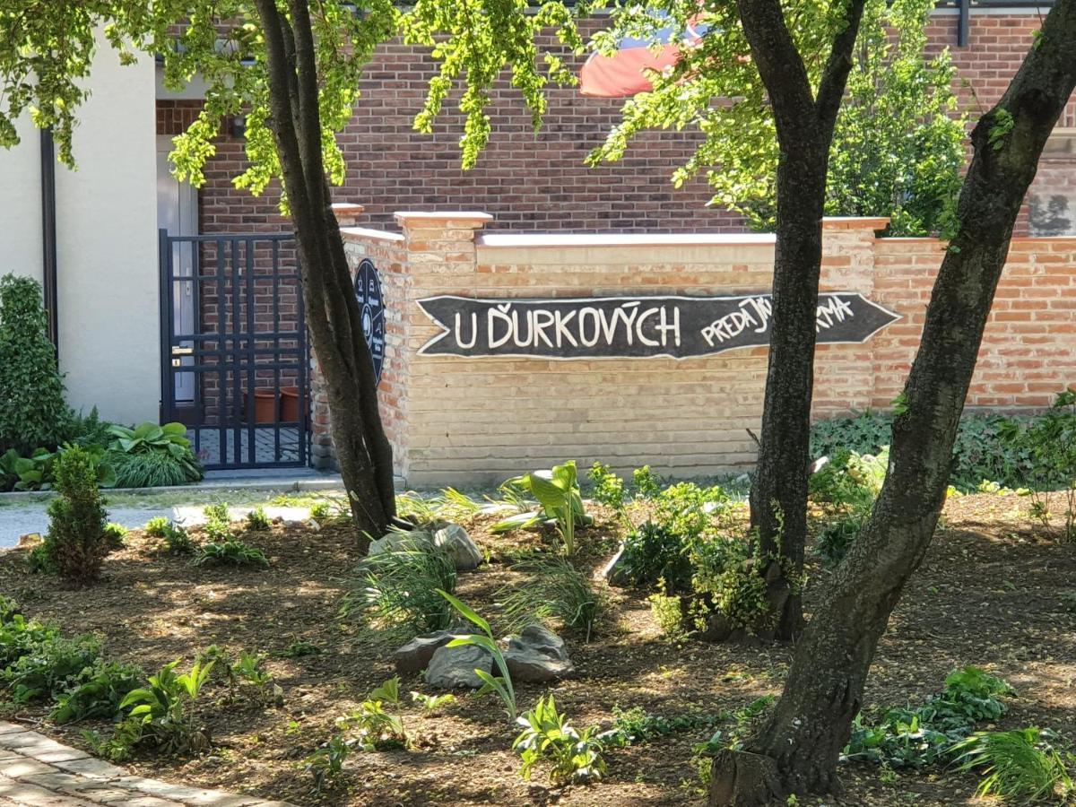 Гостьовий будинок U Durkovych Zabokreky Nad Nitrou Екстер'єр фото